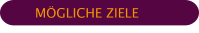 Ziele Berater-Coaching